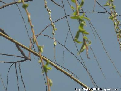 ��Ӱ�ռ�:Ѱ�Ҵ�������