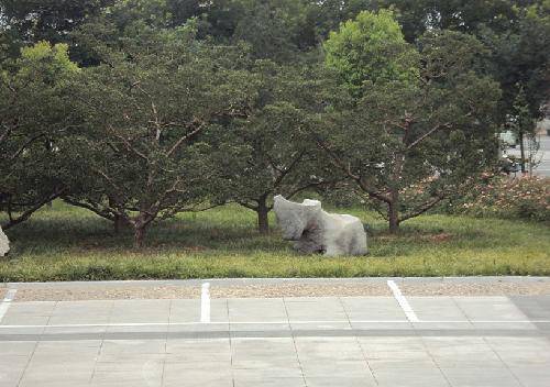 �߽���Դ�Ƽ�������