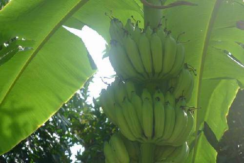 ��������֮�ã�1�������ȴ�ˮ��԰����