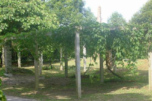 ��������֮�ã�1�������ȴ�ˮ��԰����