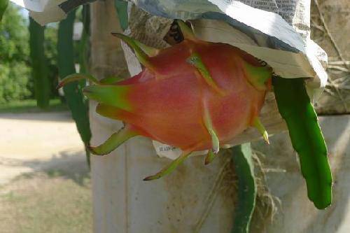 ��������֮�ã�1�������ȴ�ˮ��԰����