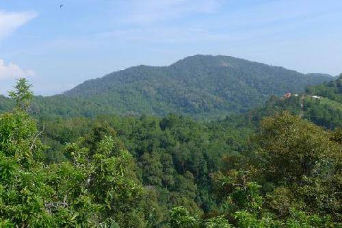 ��������֮�ã�1�������ȴ�ˮ��԰����