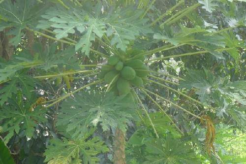 ��������֮�ã�1�������ȴ�ˮ��԰����