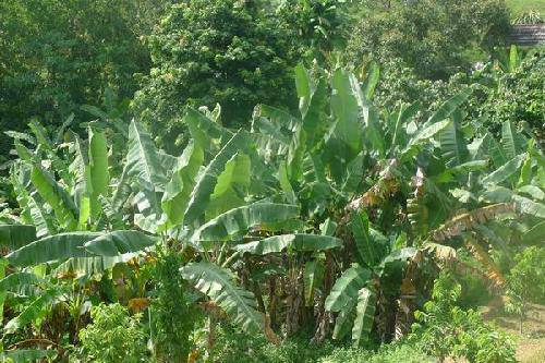 ��������֮�ã�1�������ȴ�ˮ��԰����