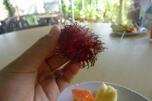 ��������֮�ã�1�������ȴ�ˮ��԰����