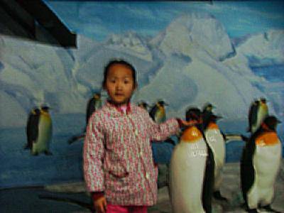 �����Ĺ��������ɿ�ϰ��������