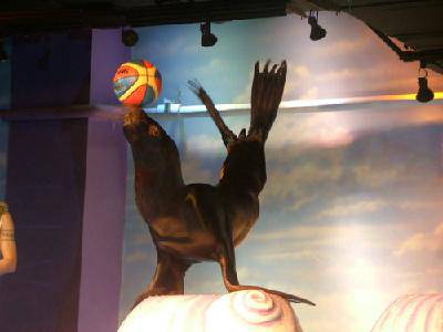 �����Ĺ��������ɿ�ϰ��������