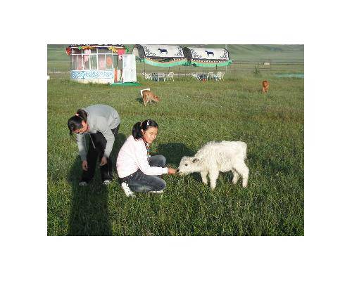 ����֮�á��ڡ�.ɣ�Ʋ�ԭ����