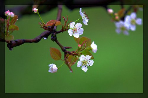 ����ս��ʫ�ʡ���ʫ����----�ҵ�С����ҵ����