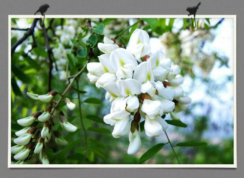 ����ս��ʫ�ʡ���ʫ����----�ҵ�С����ҵ����