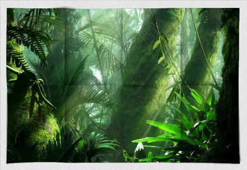 ����ս��ʫ�ʡ���ʫ����----�ҵ�С����ҵ����