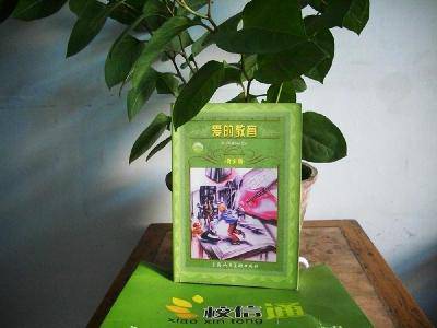 �������������ǳɳ�����