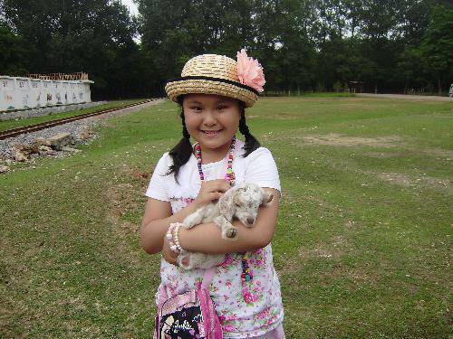 �α�����ɭ��Ұ������԰ ����