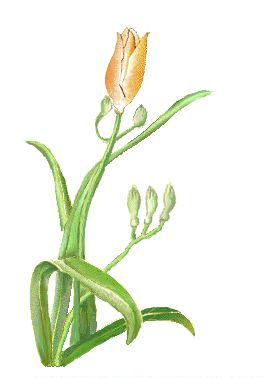 �������������ɹ��Ĵ�С������������ɹ������鿨����