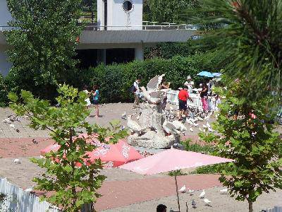 �ҵĺ���֮�ã�һ��----�ػʵ������ѹ�԰����