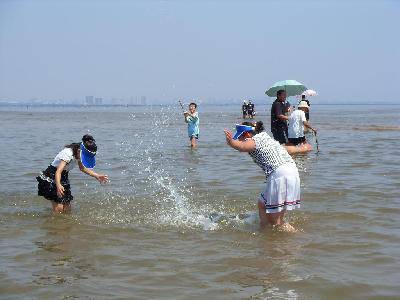 �ҵĺ���֮�ã�һ��----�ػʵ������ѹ�԰����