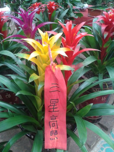 �����С�������