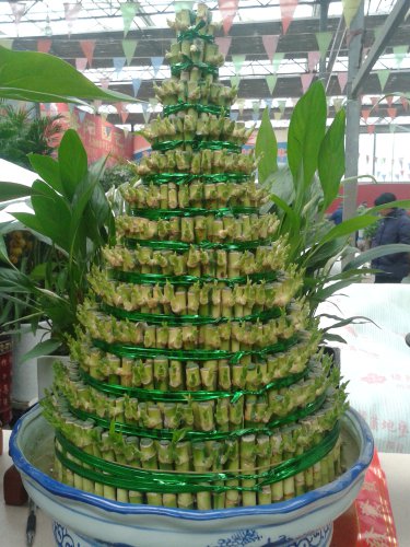 �����С�������