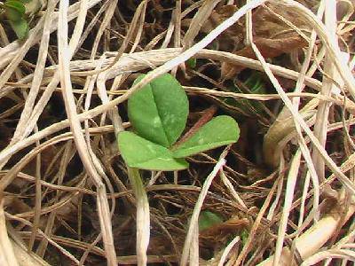 �Ҵ�������