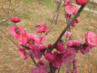 �Ҵ�������