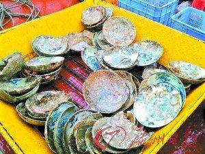 �ҵ���������