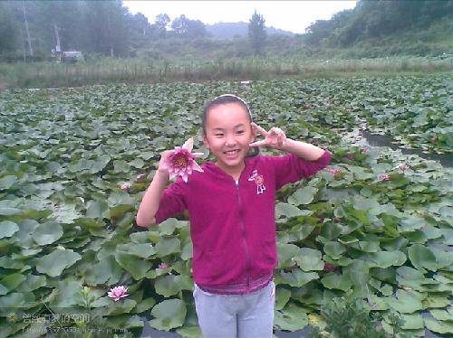 ����֮�ã�һ����������δ���ĺɻ�������