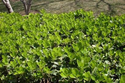 �˴��磬�ʹ�������