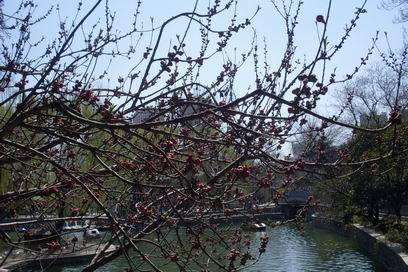 �˴��磬�ʹ�������