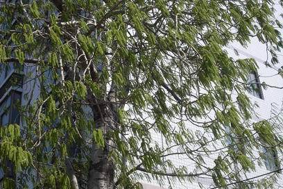 �˴��磬�ʹ�������