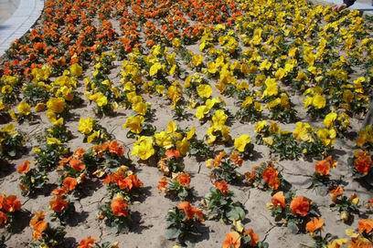 �˴��磬�ʹ�������