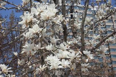 �˴��磬�ʹ�������