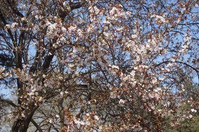 �˴��磬�ʹ�������