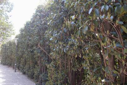 �˴��磬�ʹ�������