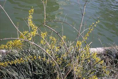 �˴��磬�ʹ�������