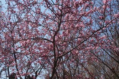 �˴��磬�ʹ�������