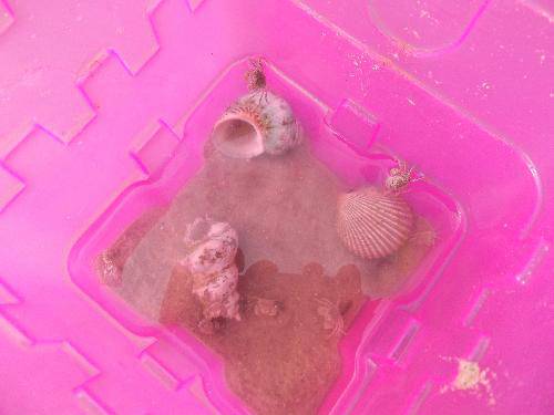 ӵ����  �����Ҹ�����