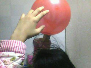 ����ľ�������