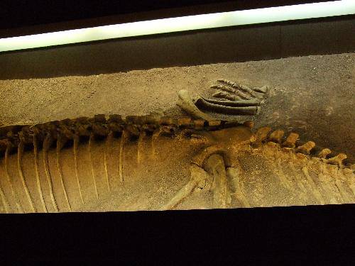 ���������꣬��ۿ���������