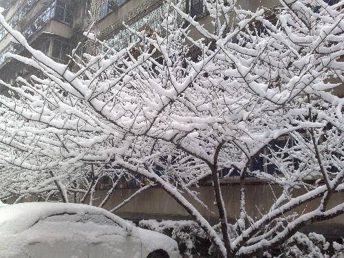 �ô�һ��ѩ����