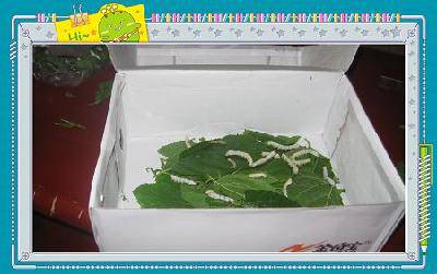 �ϱ����ѡ��·����ˣ������ռǶ�������