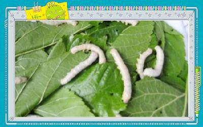 �ϱ����ѡ��·����ˣ������ռǶ�������