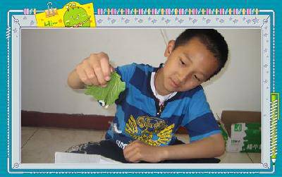 �ϱ����ѡ��·����ˣ������ռǶ�������