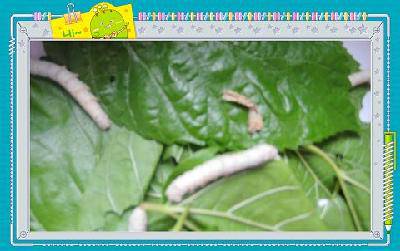 �ϱ����ѡ��·����ˣ������ռǶ�������