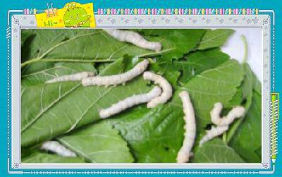 �ϱ����ѡ��·����ˣ������ռǶ�������