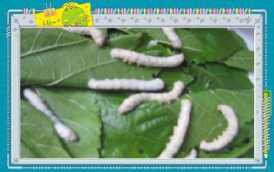 �ϱ����ѡ��·����ˣ������ռǶ�������