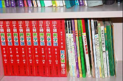 ����СѾͷ���������