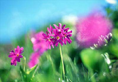 �ؼҢ�����