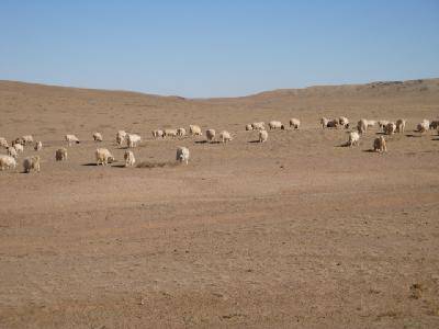 �������ɹ�֮������