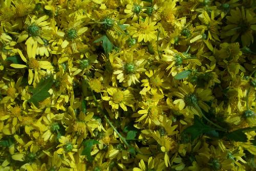 ���Ż�������  �������ս������ջ�������