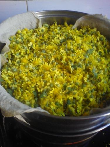 ���Ż�������  �������ս������ջ�������